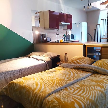 Spacieux Appartement Au Calme 15Min Sud De Lyon Proche Metro Et Gare Confluence Aquarium Gerland Oullins Esterno foto